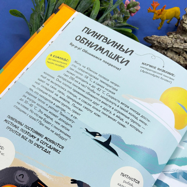 Изображение товара Энциклопедия Махаон Вместе лучше! Командная работа в мире животных (Tecnoscienza)