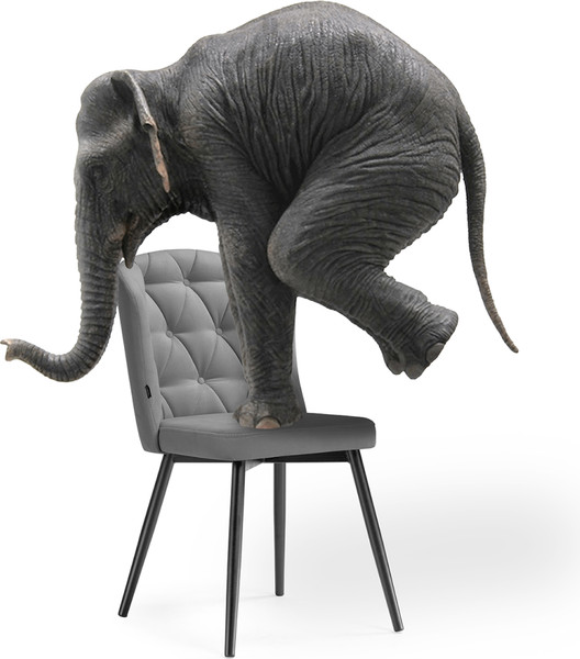 Изображение товара Стул Woodville Алиссум (Velutto 52/белый)