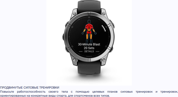 Изображение товара Умные часы Garmin Fenix E Amoled 47mm / 010-03025-00 (серая сталь/черный)