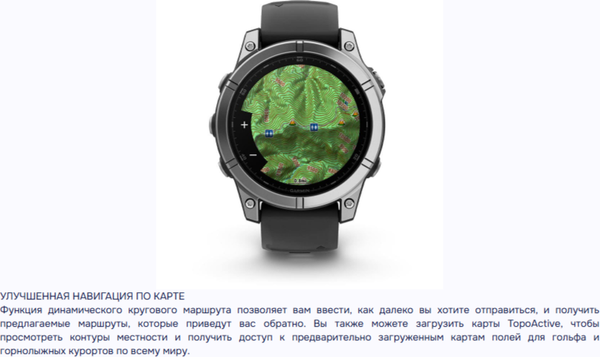 Изображение товара Умные часы Garmin Fenix E Amoled 47mm / 010-03025-00 (серая сталь/черный)