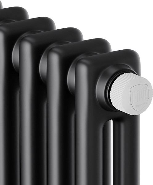 Изображение товара Радиатор стальной Royal Thermo Insignia VC2180 - 10 секций RAL9005m