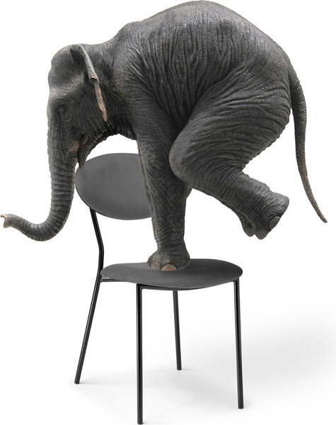 Изображение товара Стул Woodville Корсе / 494365 (пыльно-голубой/черный глянец)