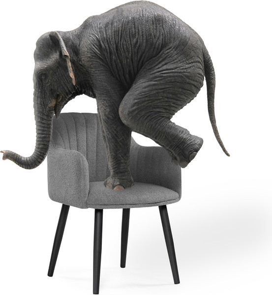 Изображение товара Стул Woodville Халли (Lamb 17/черный)