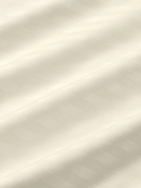 Изображение товара Комплект постельного белья Arya Vip Страйп Сатин 2сп (кремовый)