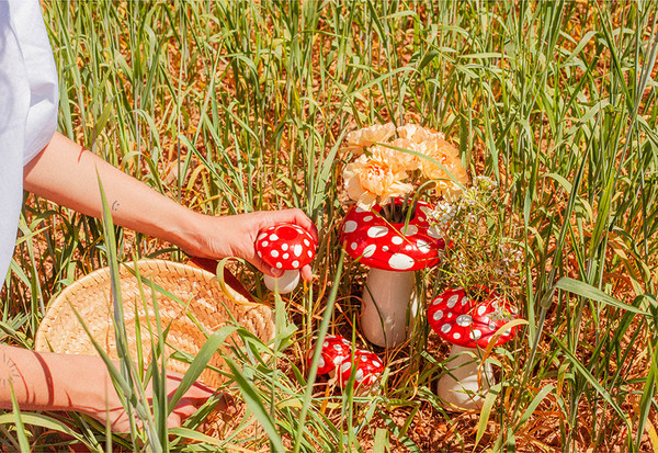 Изображение товара Ваза Doiy Amanita / DYVASAMSRE