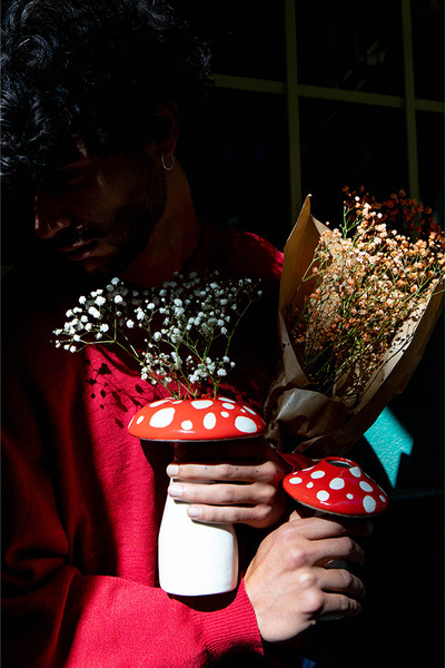 Изображение товара Ваза Doiy Amanita / DYVASAMLRE