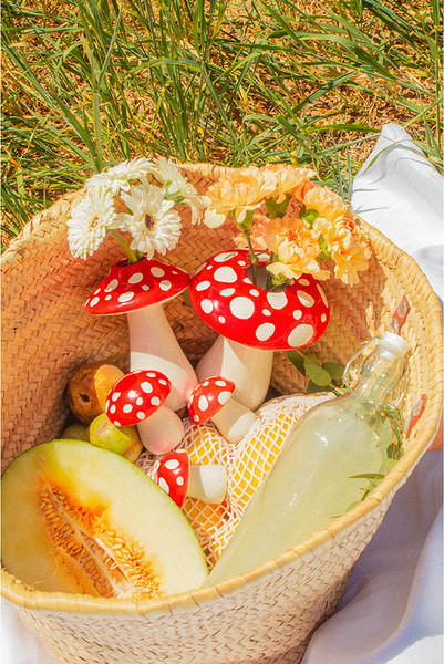 Изображение товара Ваза Doiy Amanita / DYVASAMLRE