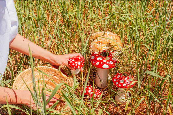 Изображение товара Ваза Doiy Amanita / DYVASAMLRE