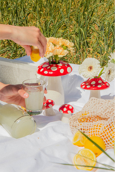 Изображение товара Ваза Doiy Amanita / DYVASAMLRE