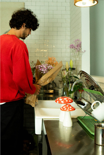 Изображение товара Ваза Doiy Amanita / DYVASAMLRE