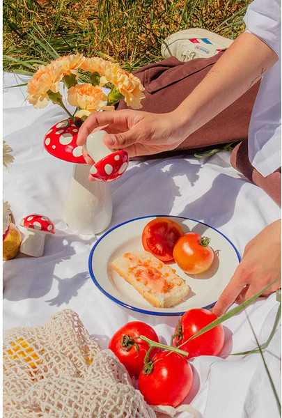 Изображение товара Набор для специй Doiy Amanita / DYSPEAMRE