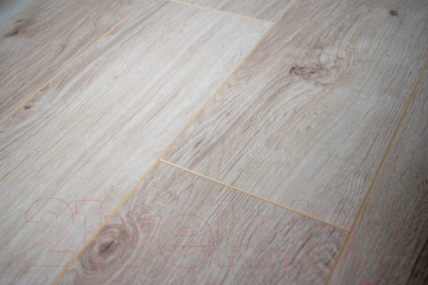 Изображение товара Ламинат Kastamonu Sunfloor Дуб эри (SF33CV-55)
