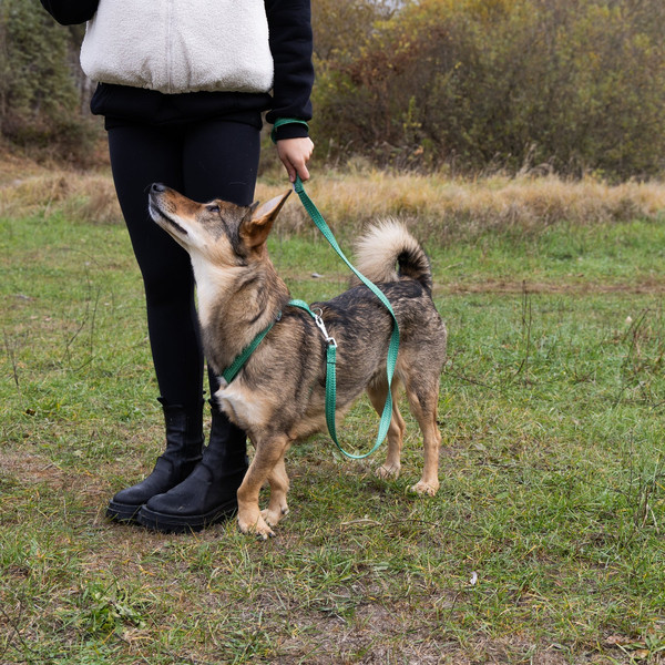 Изображение товара Поводок Ferplast Greener G20/120 / 78100323 (зеленый)