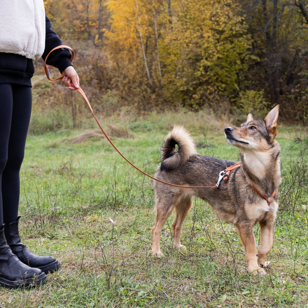 Изображение товара Поводок Ferplast Greener G20/120 / 78100339 (оранжевый)