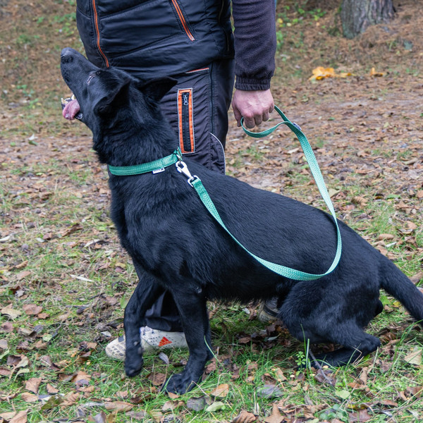 Изображение товара Поводок Ferplast Greener G25/120 / 78100423 (зеленый)