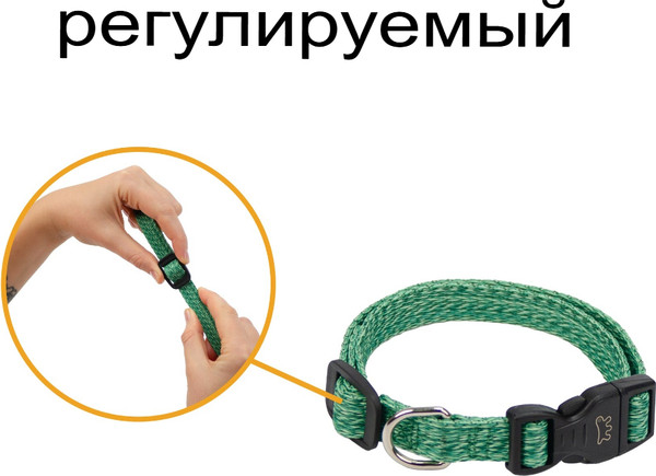 Изображение товара Ошейник Ferplast Greener C20/56 / 78140423 (зеленый)