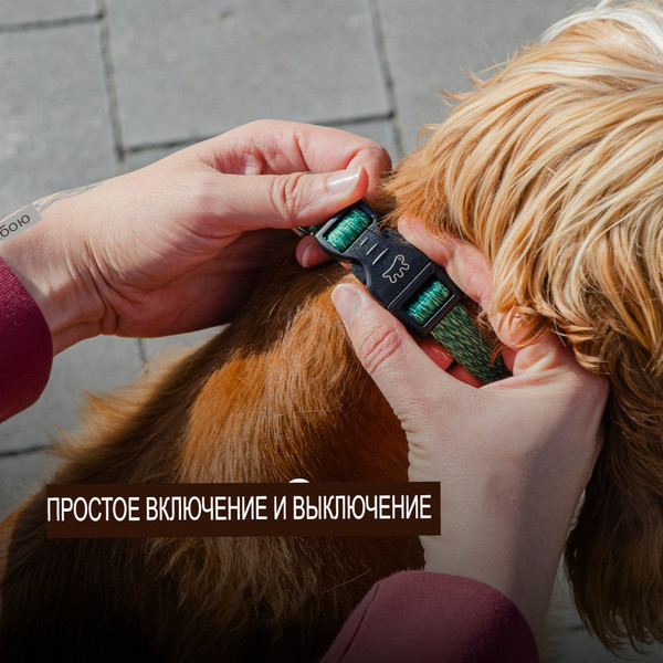 Изображение товара Ошейник Ferplast Greener C20/56 / 78140423 (зеленый)