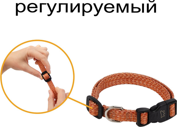 Изображение товара Ошейник Ferplast Greener C25/70 / 78140539 (оранжевый)