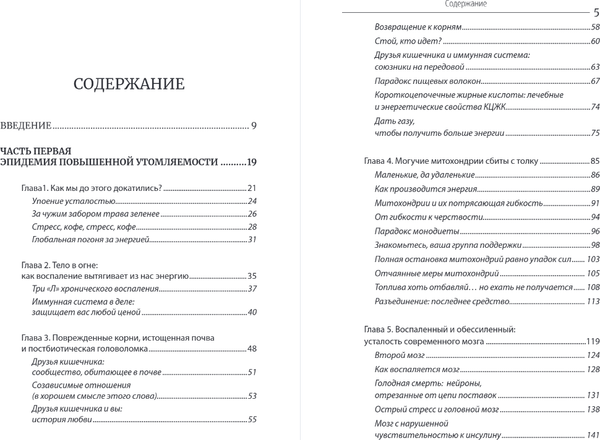 Изображение товара Книга Бомбора Парадокс энергии, твердая обложка (Гандри Стивен)