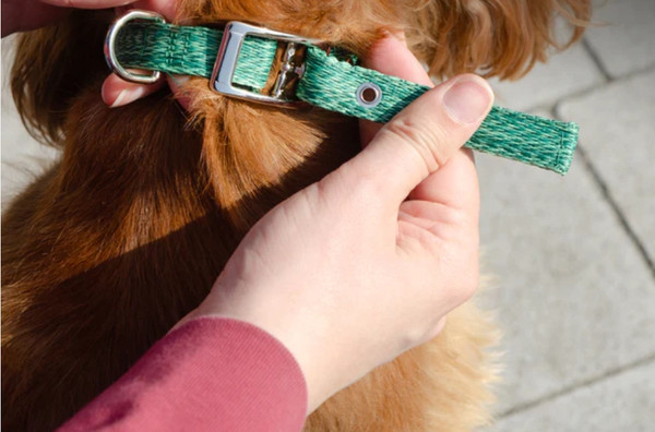 Изображение товара Ошейник Ferplast Greener Soft G15/35 / 78240223 (зеленый)