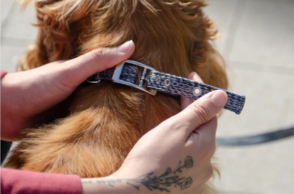 Изображение товара Ошейник Ferplast Greener Soft G25/45 / 78240421 (серый)