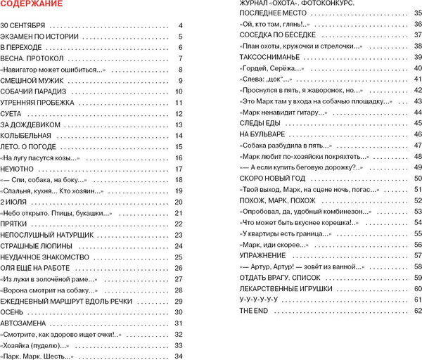 Изображение товара Книга Издательство Самокат Необходимая собака, твердая обложка (Гиваргизов Артур)