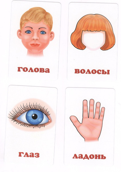 Изображение товара Развивающие карточки Улыбка Части тела и эмоции (4607929347948)
