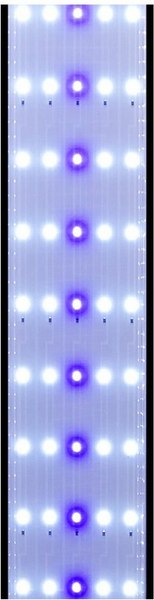 Изображение товара Светильник для аквариума Boyu CB-60
