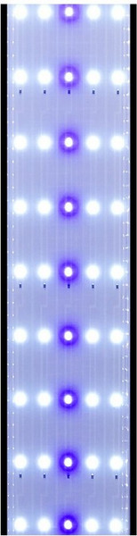 Изображение товара Светильник для аквариума Boyu CB-90