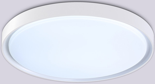 Изображение товара Потолочный светильник Ambrella Orbital FZ1246 WH (белый)