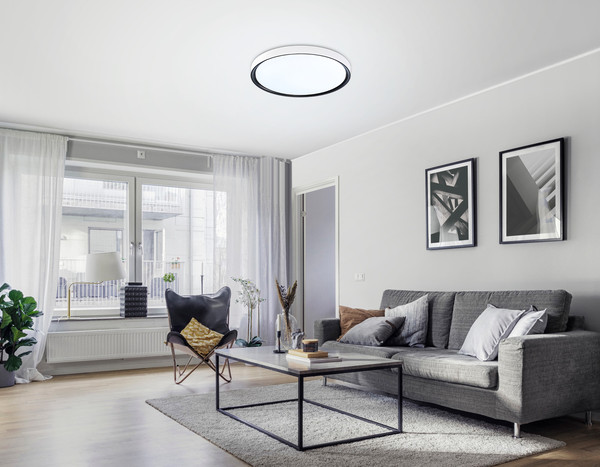 Изображение товара Потолочный светильник Ambrella Orbital FZ1247 WH/BK (белый/черный)