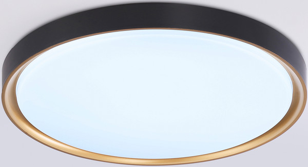 Изображение товара Потолочный светильник Ambrella Orbital FZ1249 BK/GD (черный/золото)