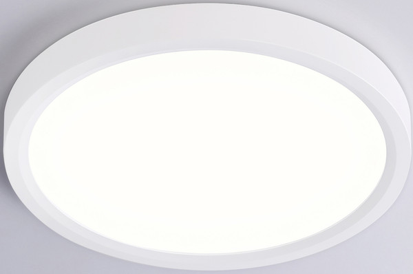 Изображение товара Потолочный светильник Ambrella Orbital FZ1901 WH (белый)