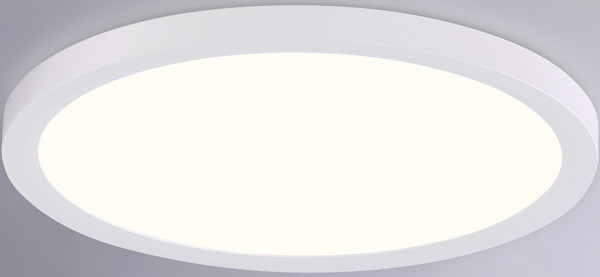 Изображение товара Потолочный светильник Ambrella Orbital FZ1905 WH (белый)