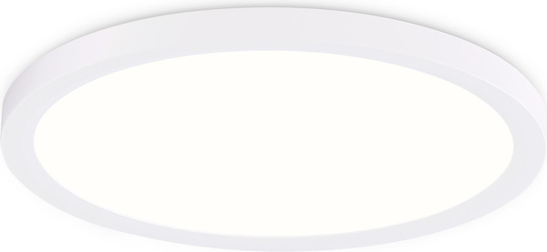 Изображение товара Потолочный светильник Ambrella Orbital FZ1905 WH (белый)