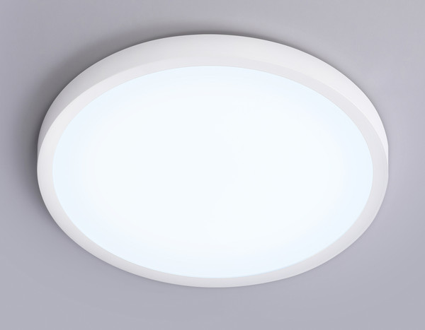 Изображение товара Потолочный светильник Ambrella Orbital FZ1951 WH (белый)