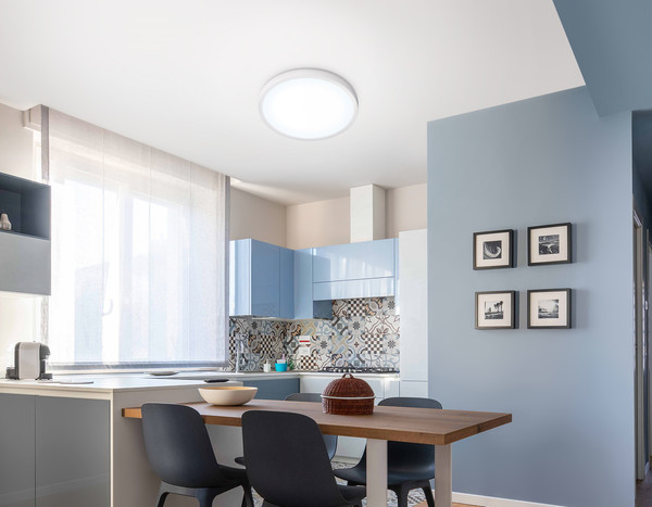 Изображение товара Потолочный светильник Ambrella Orbital FZ1951 WH (белый)