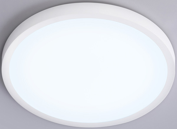 Изображение товара Потолочный светильник Ambrella Orbital FZ1951 WH (белый)