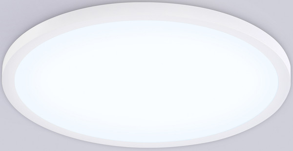 Изображение товара Потолочный светильник Ambrella Orbital FZ1955 WH (белый)