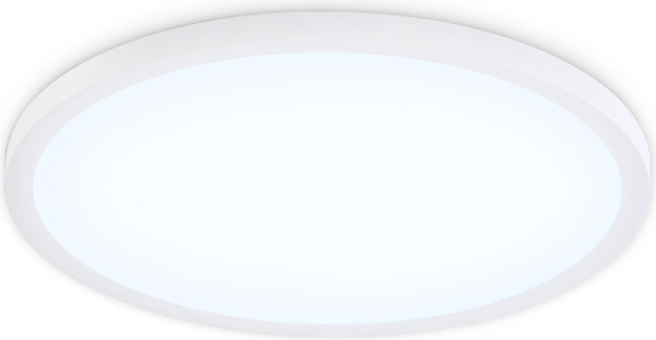 Изображение товара Потолочный светильник Ambrella Orbital FZ1955 WH (белый)