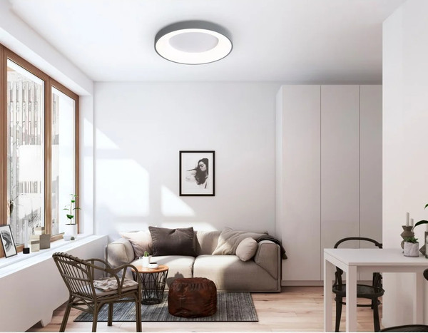 Изображение товара Потолочный светильник Ambrella Orbital FZ1402 GR (серый)