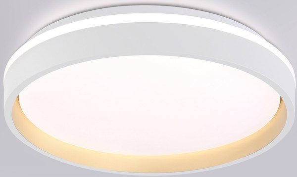 Изображение товара Потолочный светильник Ambrella Orbital FZ601 WH/GD (белый/золото)