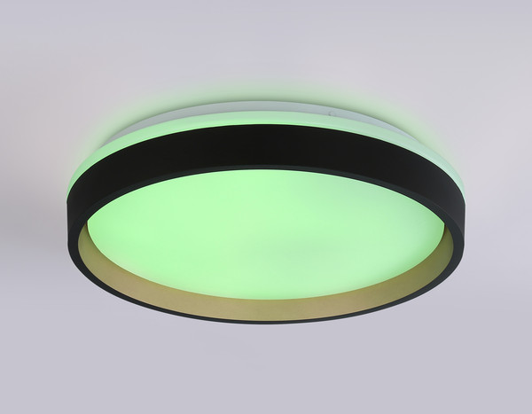 Изображение товара Потолочный светильник Ambrella Orbital FZ604 BK/GD (черный/золото)