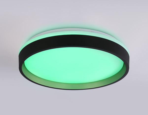 Изображение товара Потолочный светильник Ambrella Orbital FZ604 BK/GD (черный/золото)