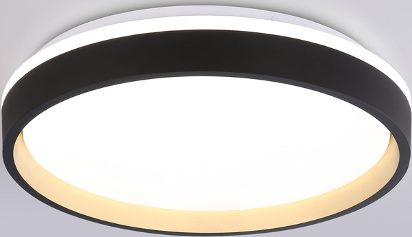 Изображение товара Потолочный светильник Ambrella Orbital FZ604 BK/GD (черный/золото)