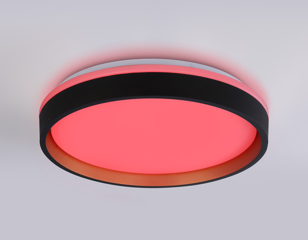 Изображение товара Потолочный светильник Ambrella Orbital FZ604 BK/GD (черный/золото)