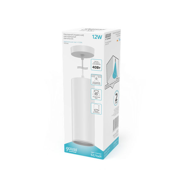 Изображение товара Потолочный светильник Gauss Overhead 12W 920lm 4100K 170-240V IP20 / HD036 (белый)