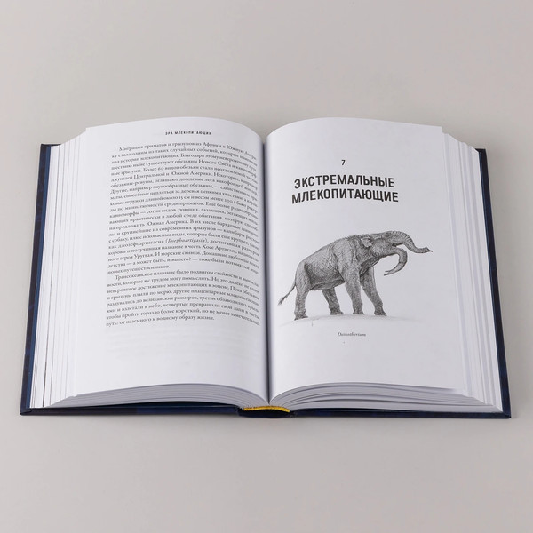 Изображение товара Книга Альпина Эра млекопитающих, твердая обложка (Брусатти Стив)