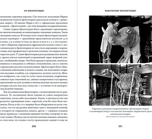 Изображение товара Книга Альпина Эра млекопитающих, твердая обложка (Брусатти Стив)