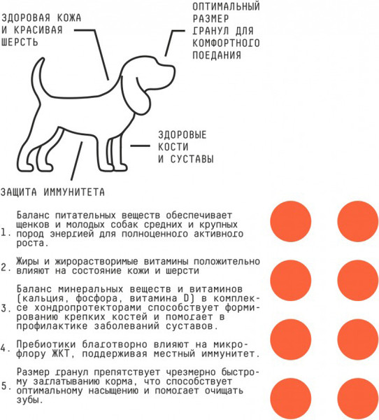 Изображение товара Сухой корм для собак AJO Dog Puppy & Junior с гречкой для средних и крупных пород (2кг)